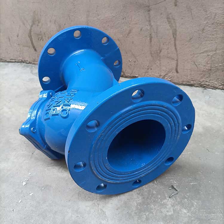 Y型過(guò)濾器-(4)