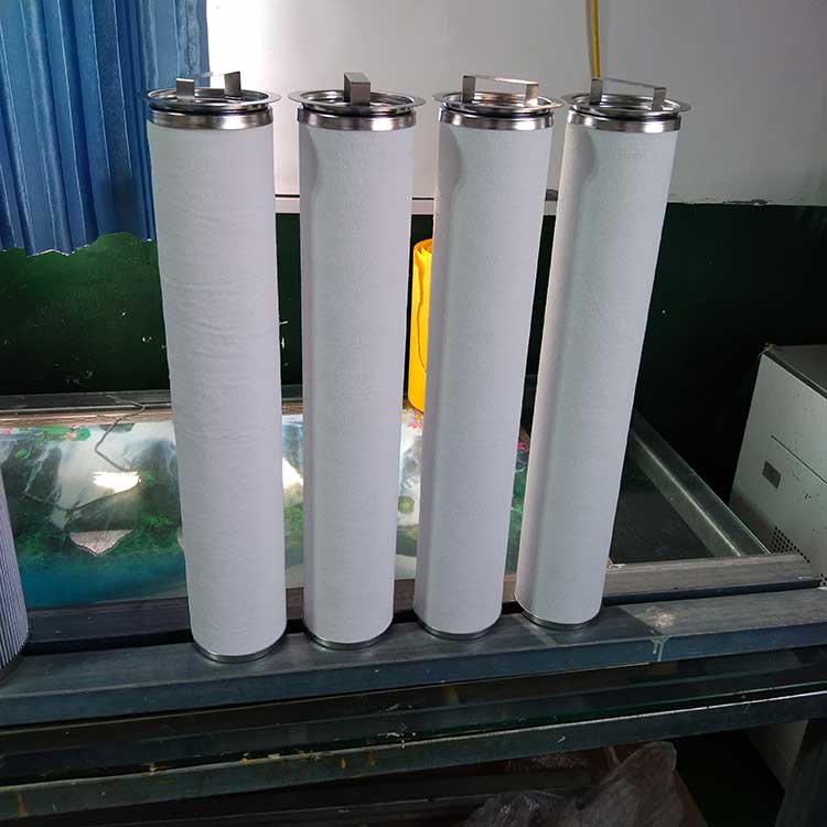 BE096520F020BQ(LCS2B1AH)聚結濾芯-(1)